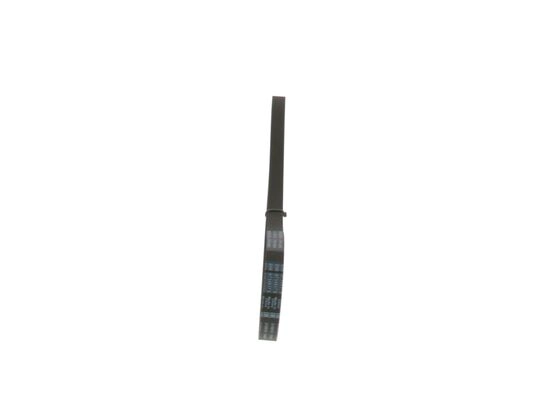 V-Ribbed Belt (1 987 947 914)