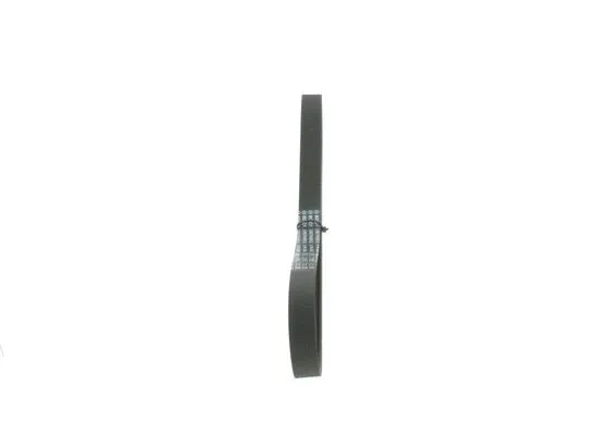 V-Ribbed Belt