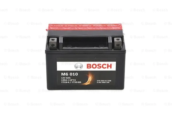 Starter Battery