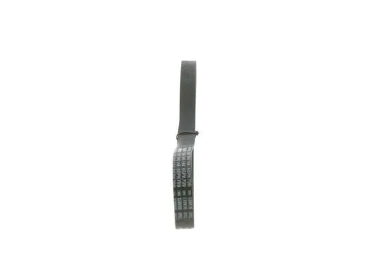 V-Ribbed Belt (1 987 946 144)