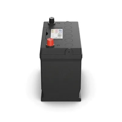 Starter Battery