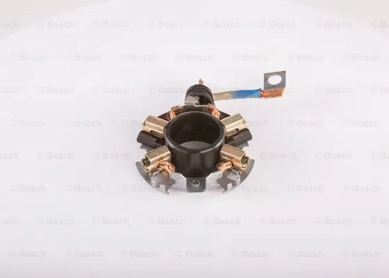 Holder, carbon brushes