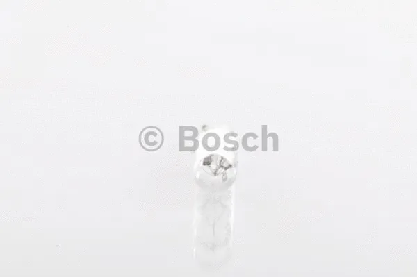 Bulb (1 987 302 240)