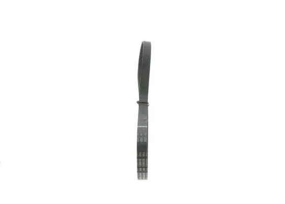 V-Ribbed Belt (1 987 946 148)