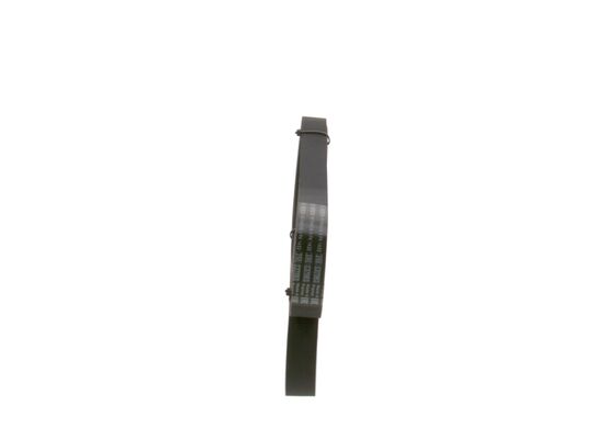 V-Ribbed Belt (1 987 948 336)