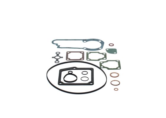 Seal Kit, injector pump centrifugal governor