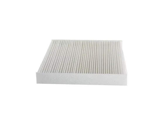 Filter, cabin air (0 986 BF0 724)