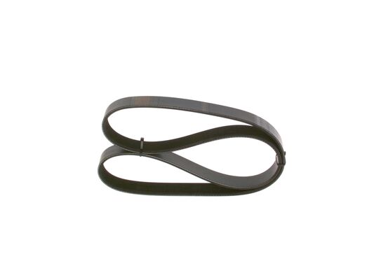 V-Ribbed Belt