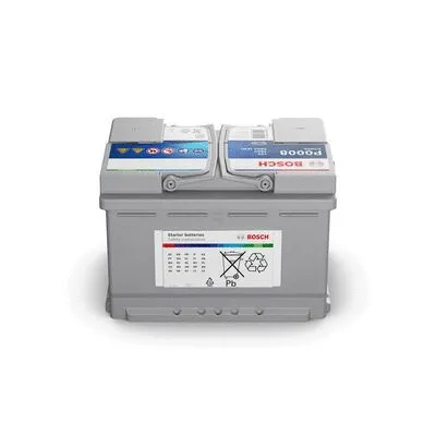Starter Battery