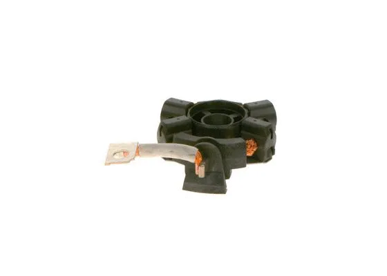 Holder, carbon brushes