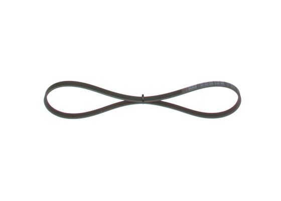 V-Ribbed Belt (1 987 947 559)