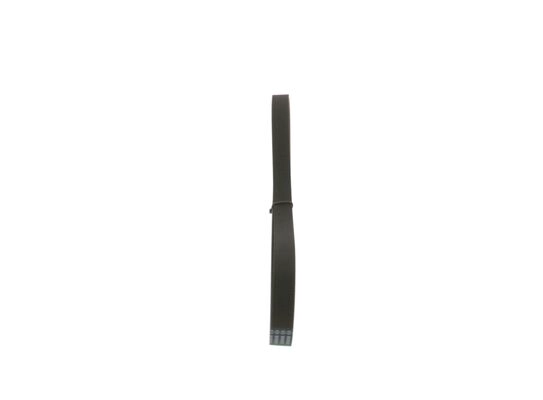 V-Ribbed Belt