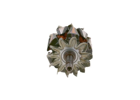 Rotor, alternator