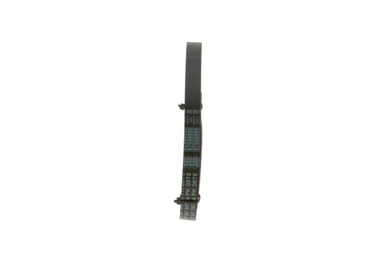 V-Ribbed Belt