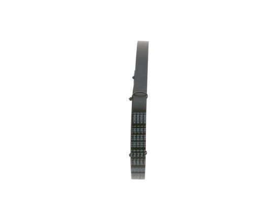 V-Ribbed Belt