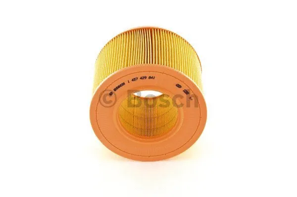 Air Filter (1 457 429 841)