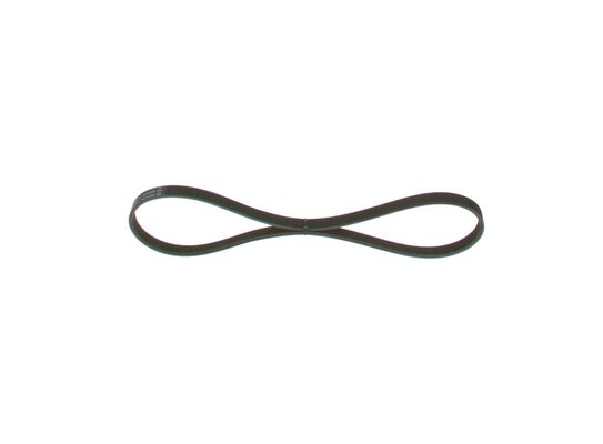 V-Ribbed Belt