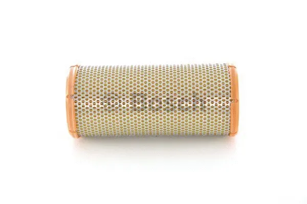 Air Filter (1 457 433 229)