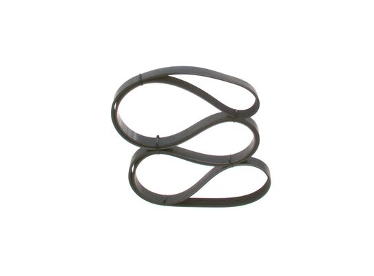V-Ribbed Belt (1 987 948 306)