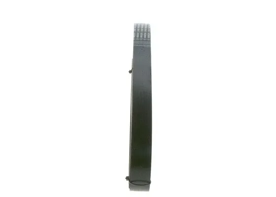 V-Ribbed Belt