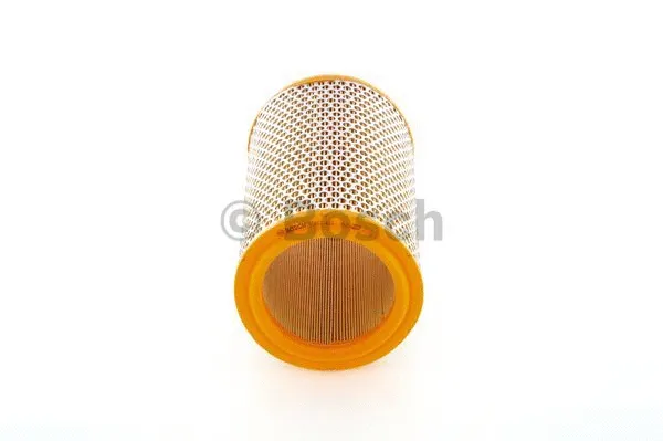 Air Filter (1 457 433 161)