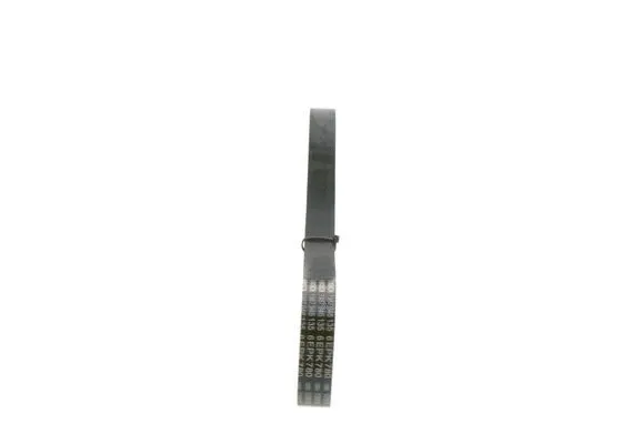 V-Ribbed Belt
