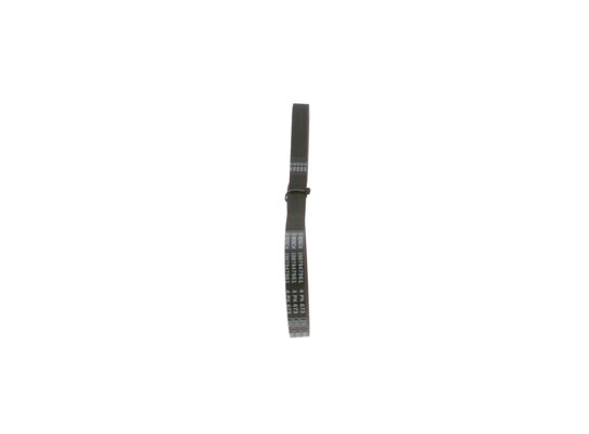 V-Ribbed Belt (1 987 947 961)