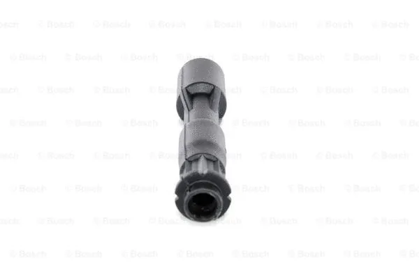 Plug, spark plug