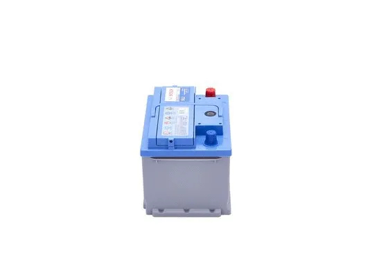 Starter Battery