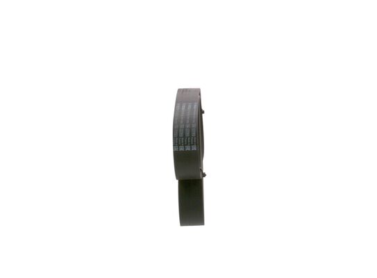 V-Ribbed Belt