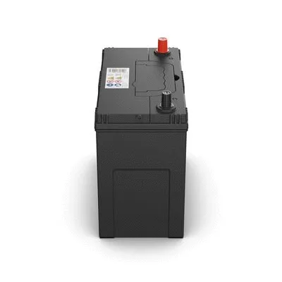 Starter Battery