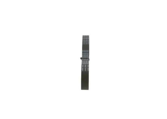Timing Belt (1 987 946 803)