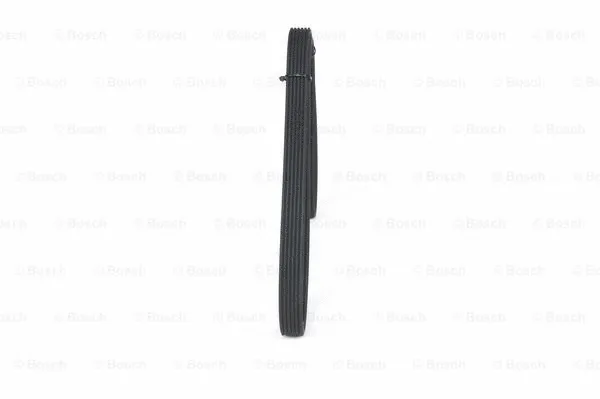 V-Ribbed Belt