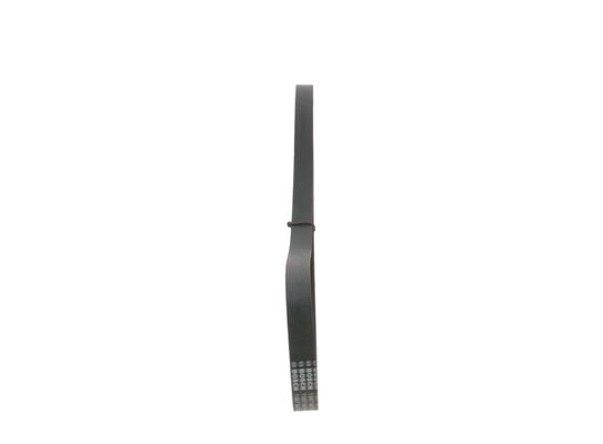 V-Ribbed Belt