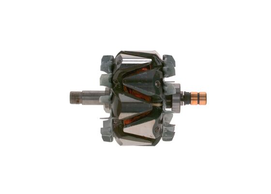 Rotor, alternator