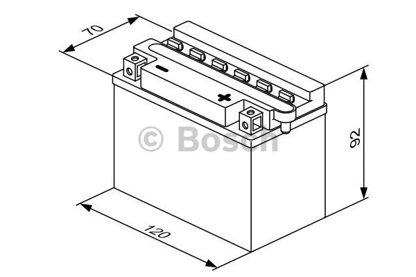 Starter Battery