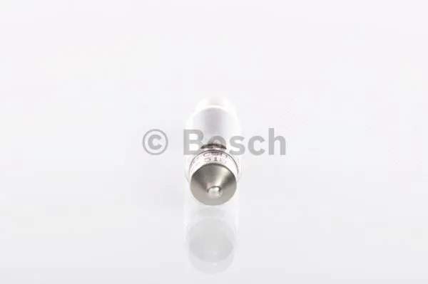 Bulb (1 987 302 507)