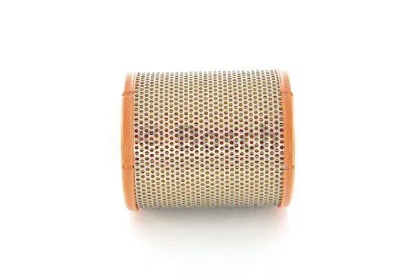 Air Filter (1 457 433 233)