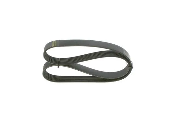 V-Ribbed Belt (1 987 946 248)