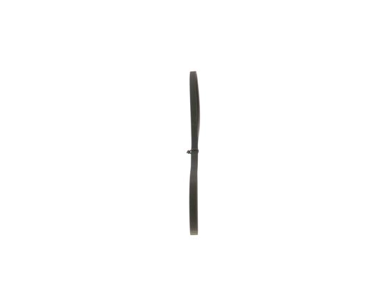 V-Ribbed Belt