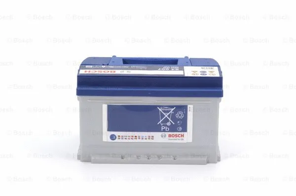 Starter Battery