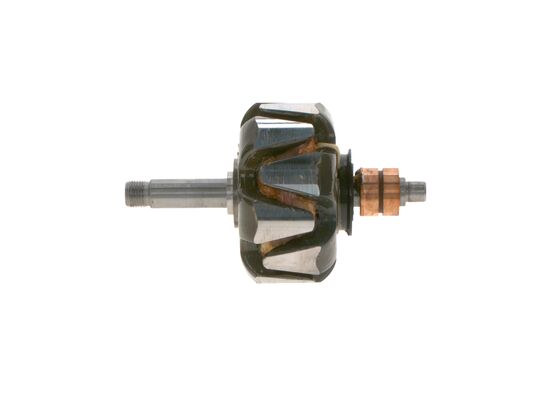 Rotor, alternator