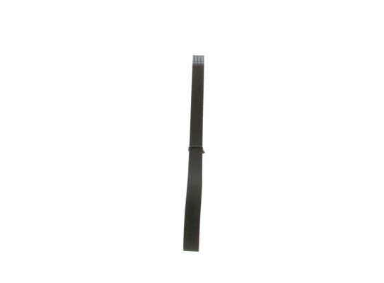 V-Ribbed Belt (1 987 948 485)