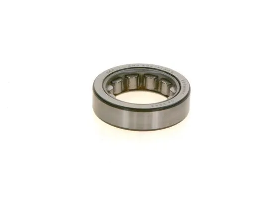 Bearing (1 900 910 113)