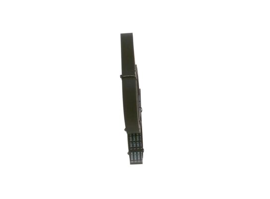 V-Ribbed Belt