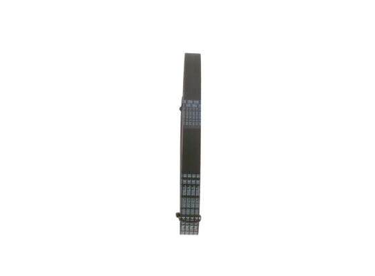 V-Ribbed Belt
