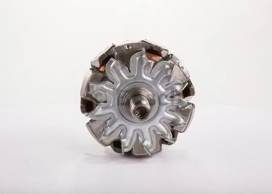 Rotor, alternator (F 00M 131 623)