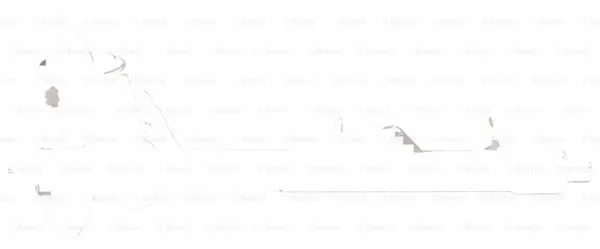 Steering Gear (K S00 001 034)