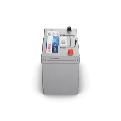 Starter Battery