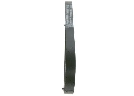 V-Ribbed Belt